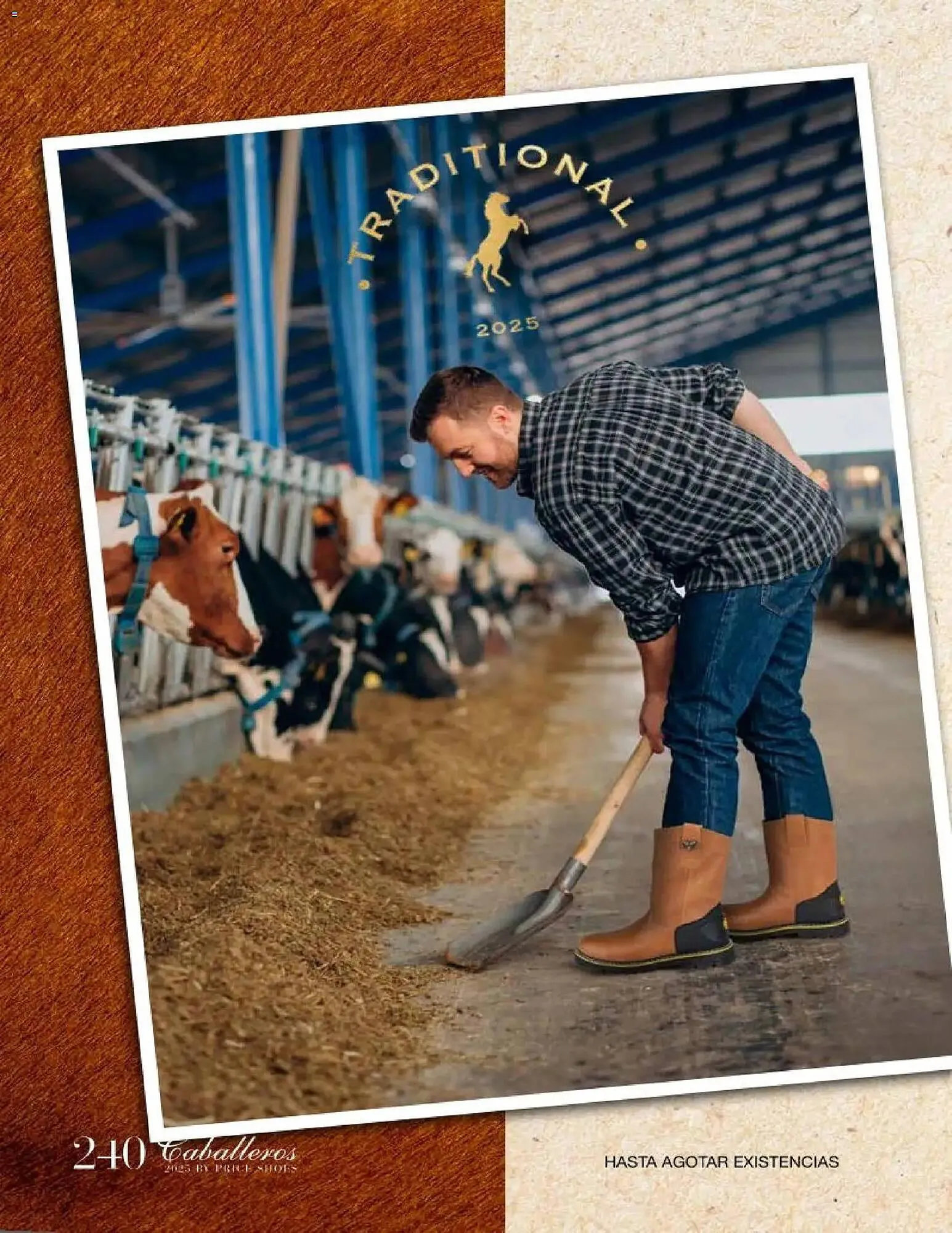 Catálogo de Catálogo Price Shoes 26 de noviembre al 1 de julio 2026 - Pagina 240