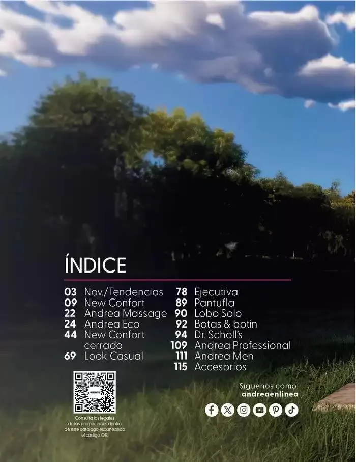 Catálogo de ANDREA | CALZADO CONFORT 26 de enero al 24 de mayo 2025 - Pagina 2