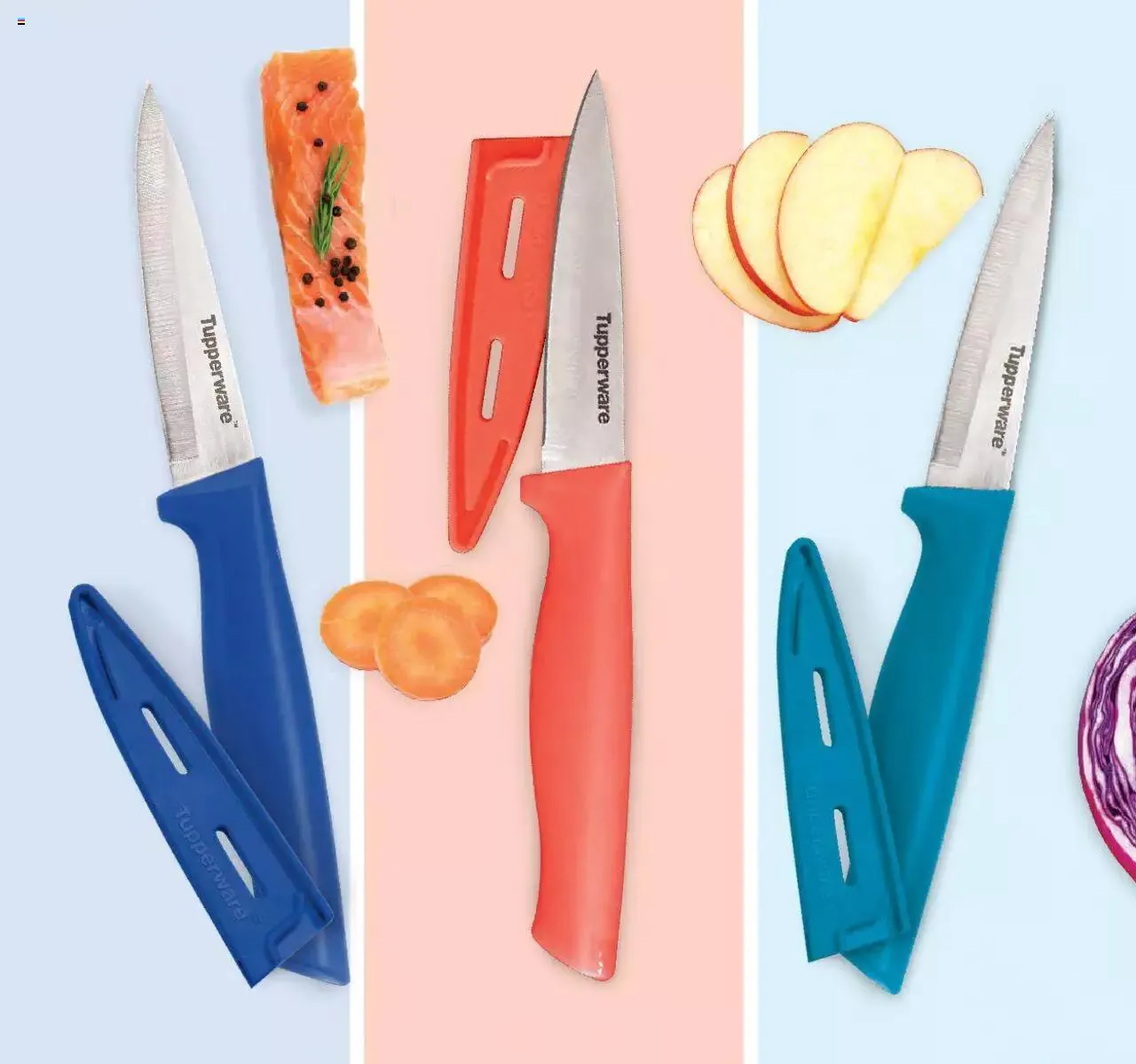 Catálogo de Tupperware catálogo 1 de enero al 21 de enero 2024 - Pagina 126