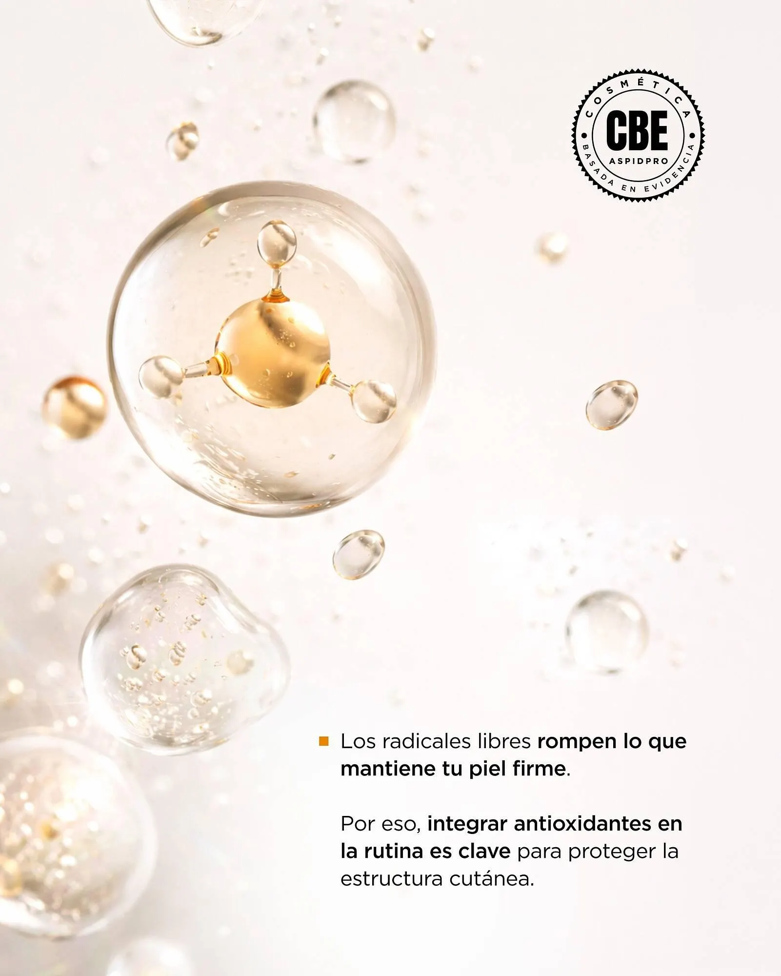 Catálogo de Catálogo AspidPro 16 de abril al 20 de abril 2026 - Pagina 4