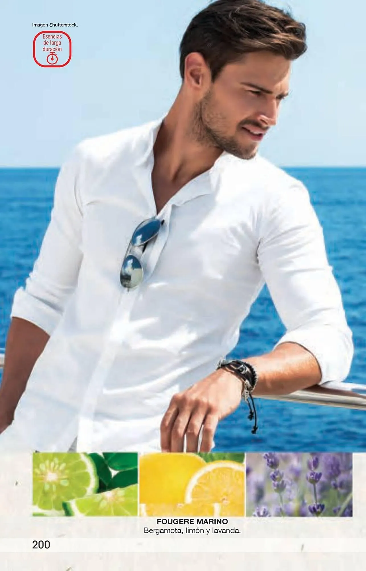 Catálogo de Catálogo Arabela 29 de enero al 19 de febrero 2026 - Pagina 164