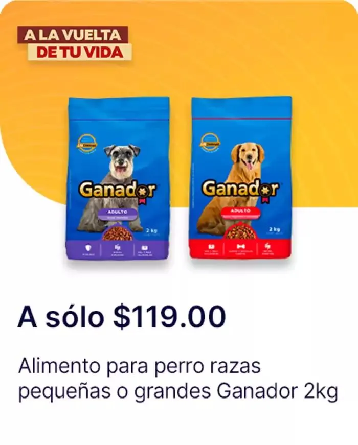 Catálogo de Ofertas principales para todos los cazadores de gangas 11 de diciembre al 25 de diciembre 2024 - Pagina 1