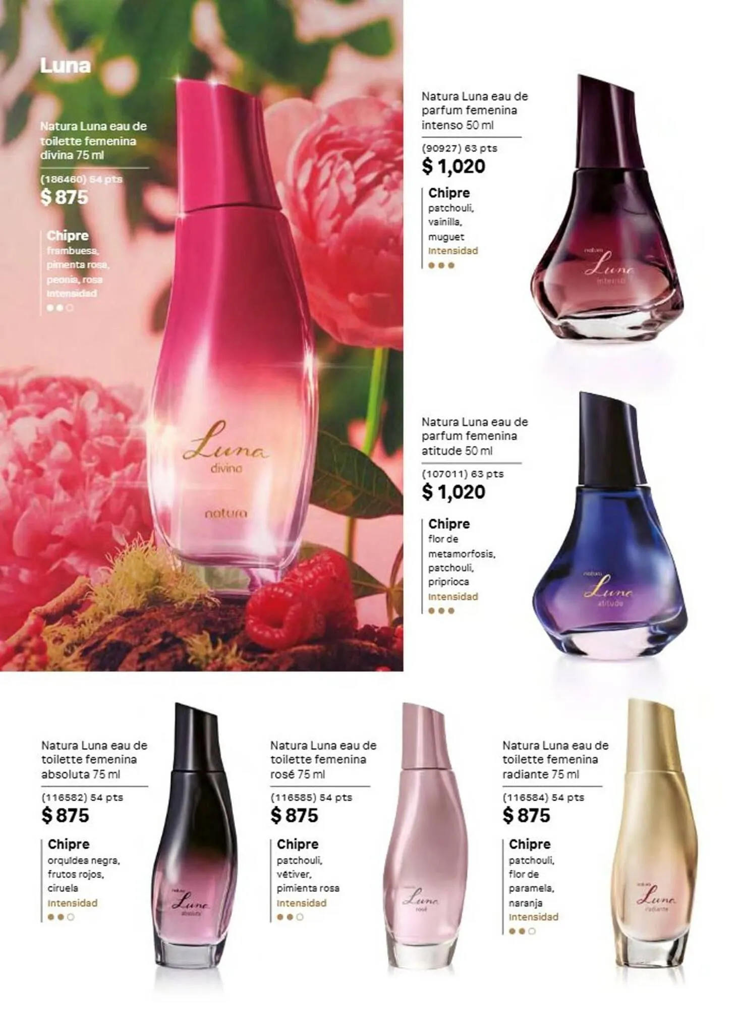 Catálogo de Catálogo Natura 1 de agosto al 31 de agosto 2026 - Pagina 39