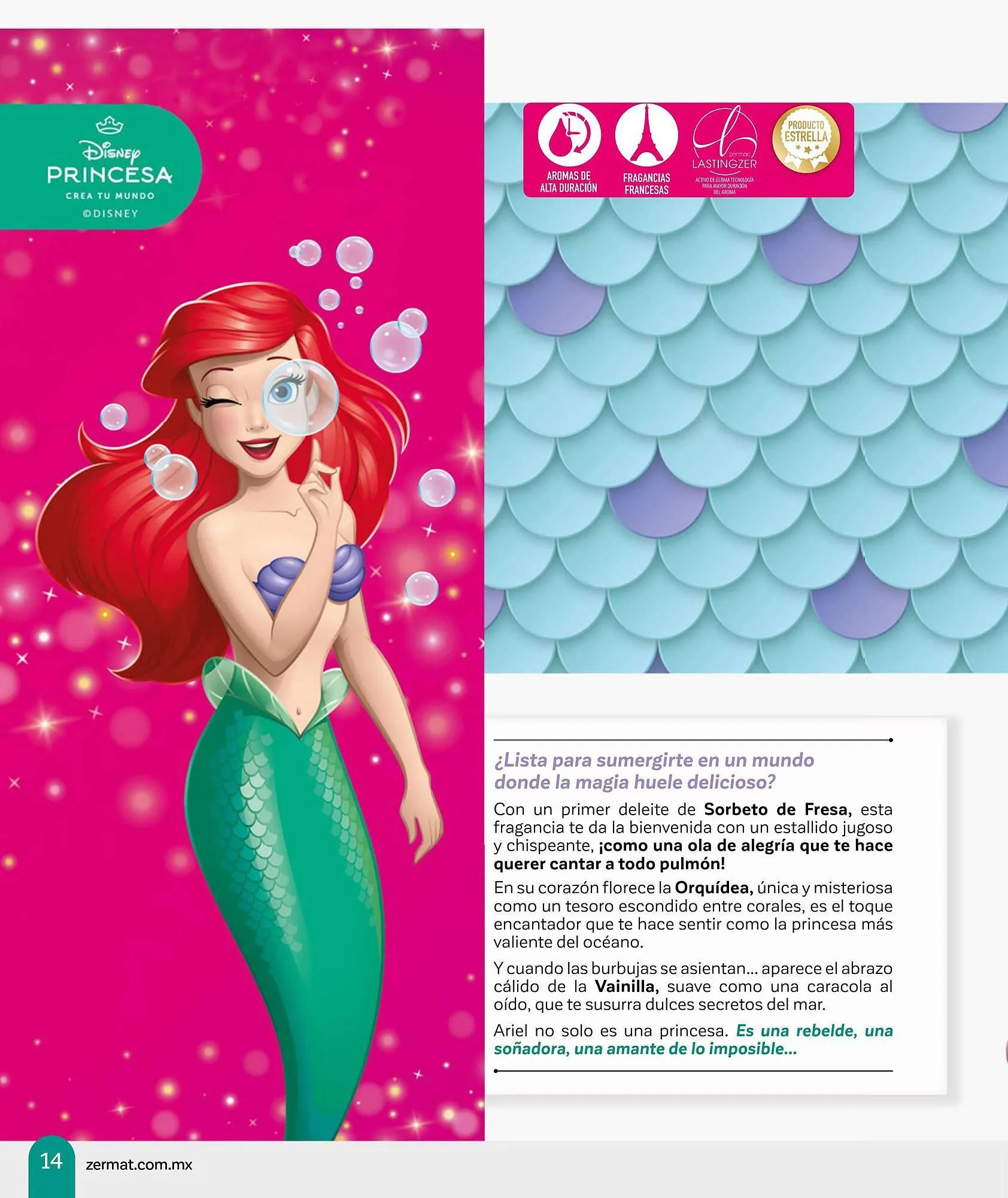 Catálogo de Catálogo Zermat 1 de enero al 31 de enero 2026 - Pagina 14