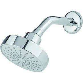 REGADERA 4541 CROMO BZO Y CHAP DICA