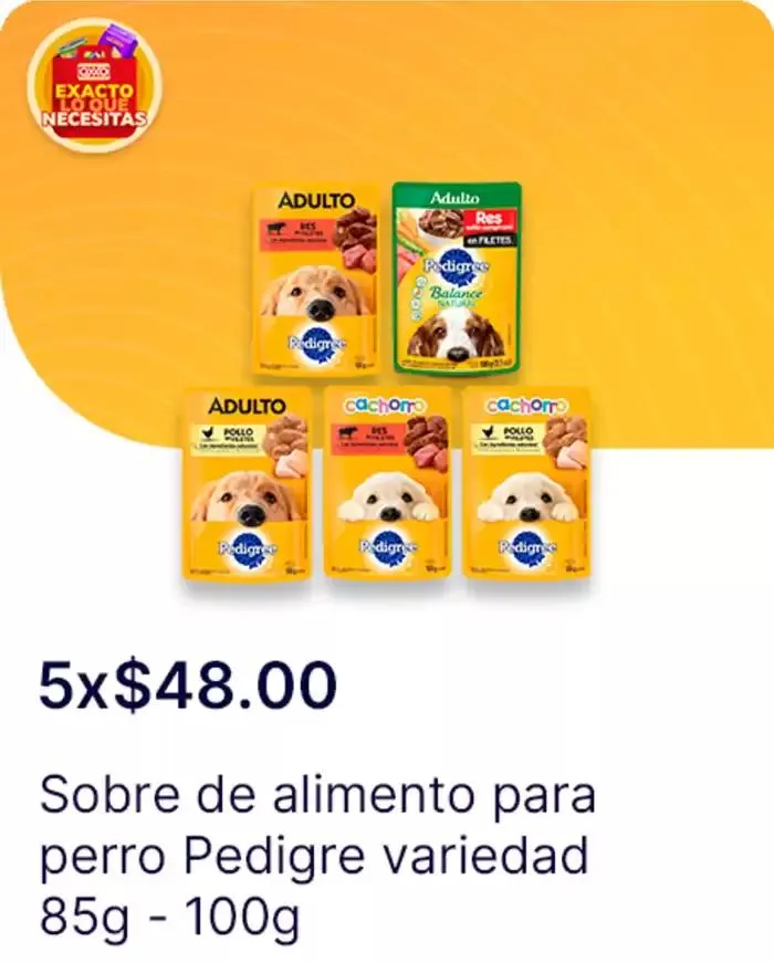 Catálogo de Gangas exclusivas 7 de abril al 14 de mayo 2025 - Pagina 1