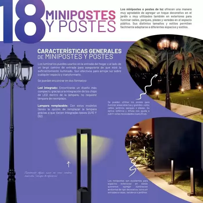 Catálogo de Catálogo 2024 10 de octubre al 31 de enero 2025 - Pagina 262