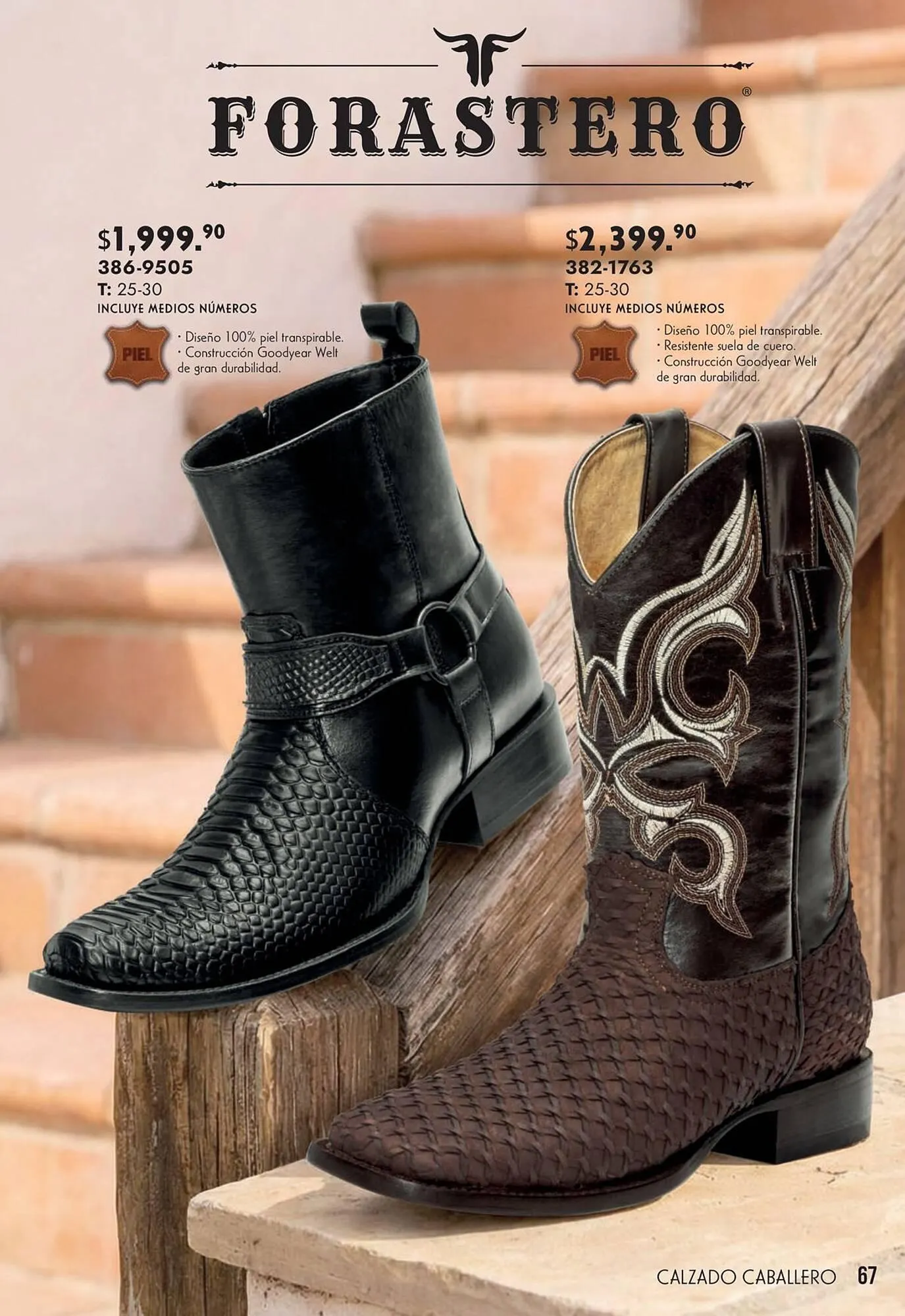 Catálogo de Catálogo Andrea 25 de marzo al 8 de abril 2026 - Pagina 67