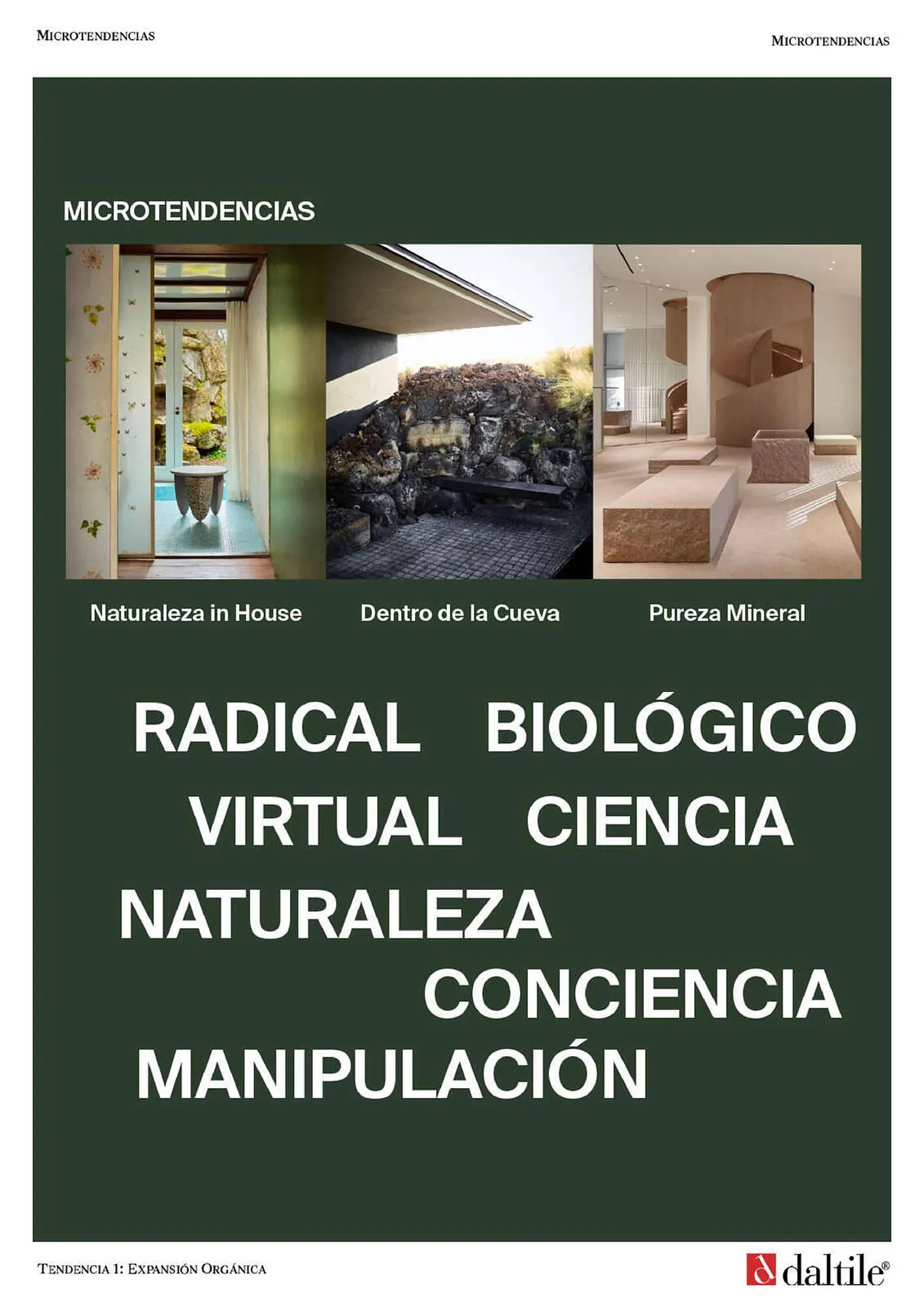 Catálogo de Catálogo Daltile 28 de septiembre al 31 de enero 2024 - Pagina 9