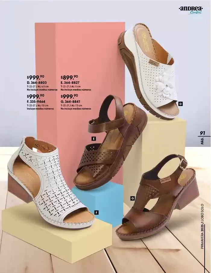 Catálogo de ANDREA | CALZADO CONFORT 26 de enero al 24 de mayo 2025 - Pagina 91