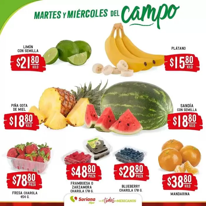 Catálogo de Martes y Miércoles del Campo Híper  24 de diciembre al 26 de diciembre 2024 - Pagina 2