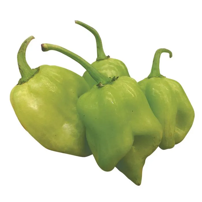 CHILE HABANERO