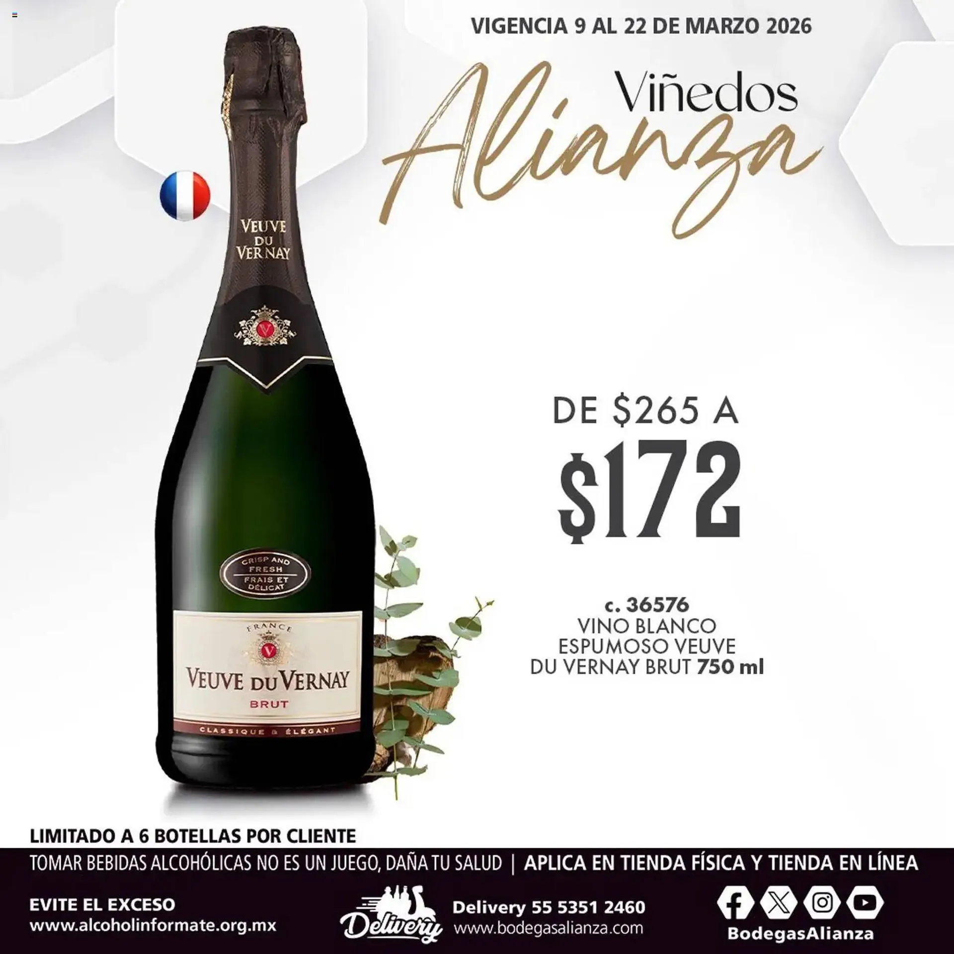 Folleto Bodegas Alianza - 1