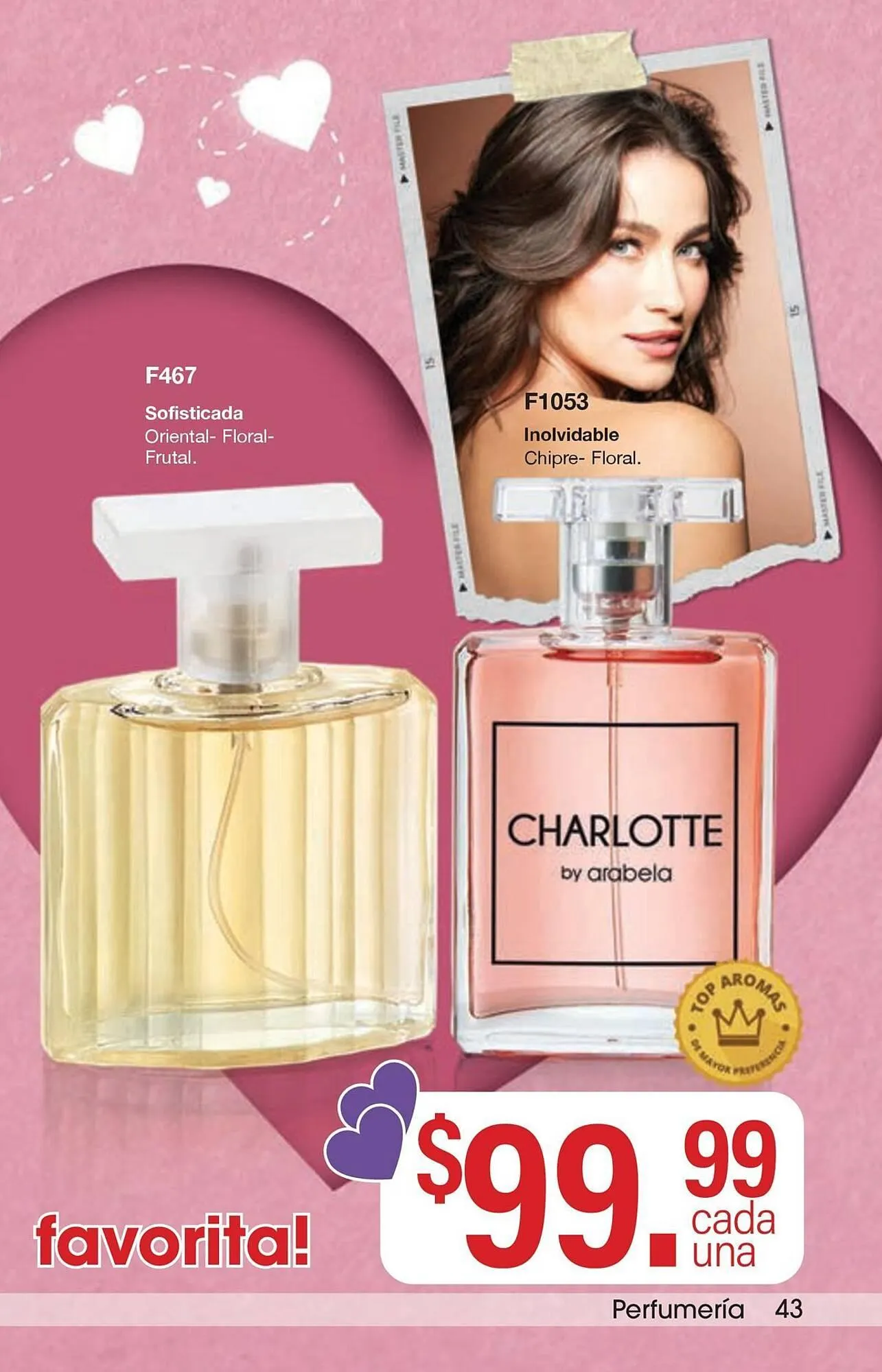 Catálogo de Catálogo Arabela 2 de enero al 28 de febrero 2026 - Pagina 45