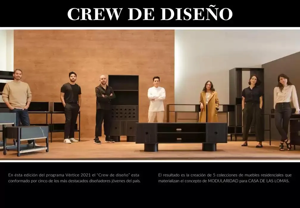 Catálogo de Catálogo Vertice 1 de noviembre al 28 de febrero 2025 - Pagina 3