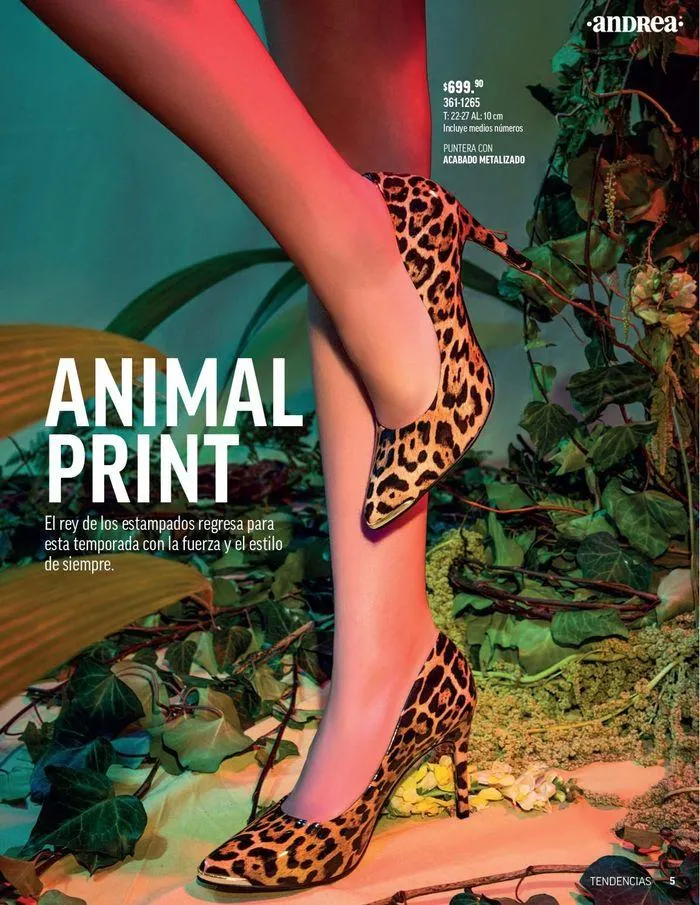Catálogo de ANDREA - CALZADO DAMA 26 de agosto al 25 de enero 2025 - Pagina 145