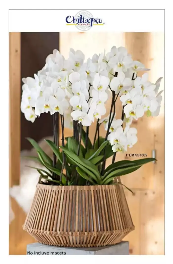 Catálogo de Costco contacto 14 de enero al 31 de enero 2025 - Pagina 33