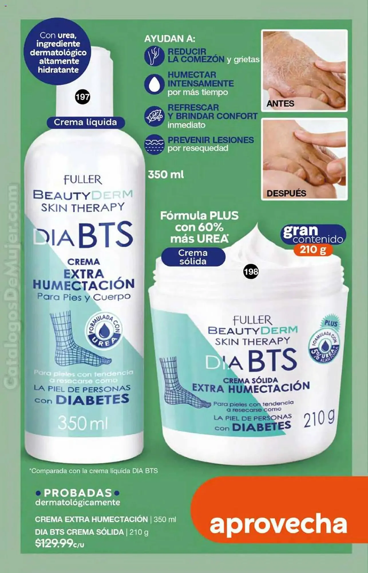 Catálogo de Catálogo Fuller 26 de noviembre al 17 de diciembre 2025 - Pagina 110