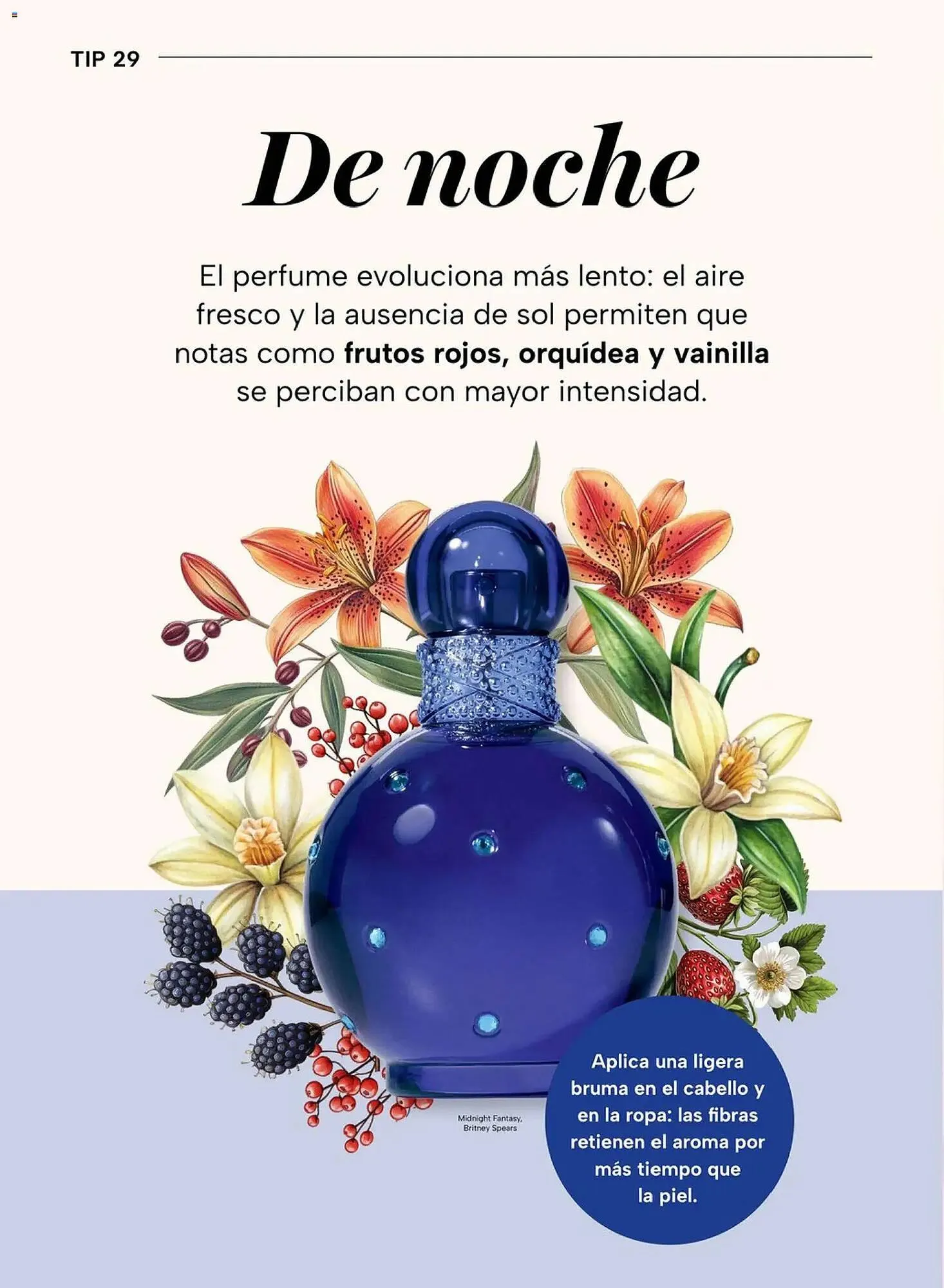 Catálogo de Folleto Chedraui 4 de mayo al 16 de junio 2026 - Pagina 62