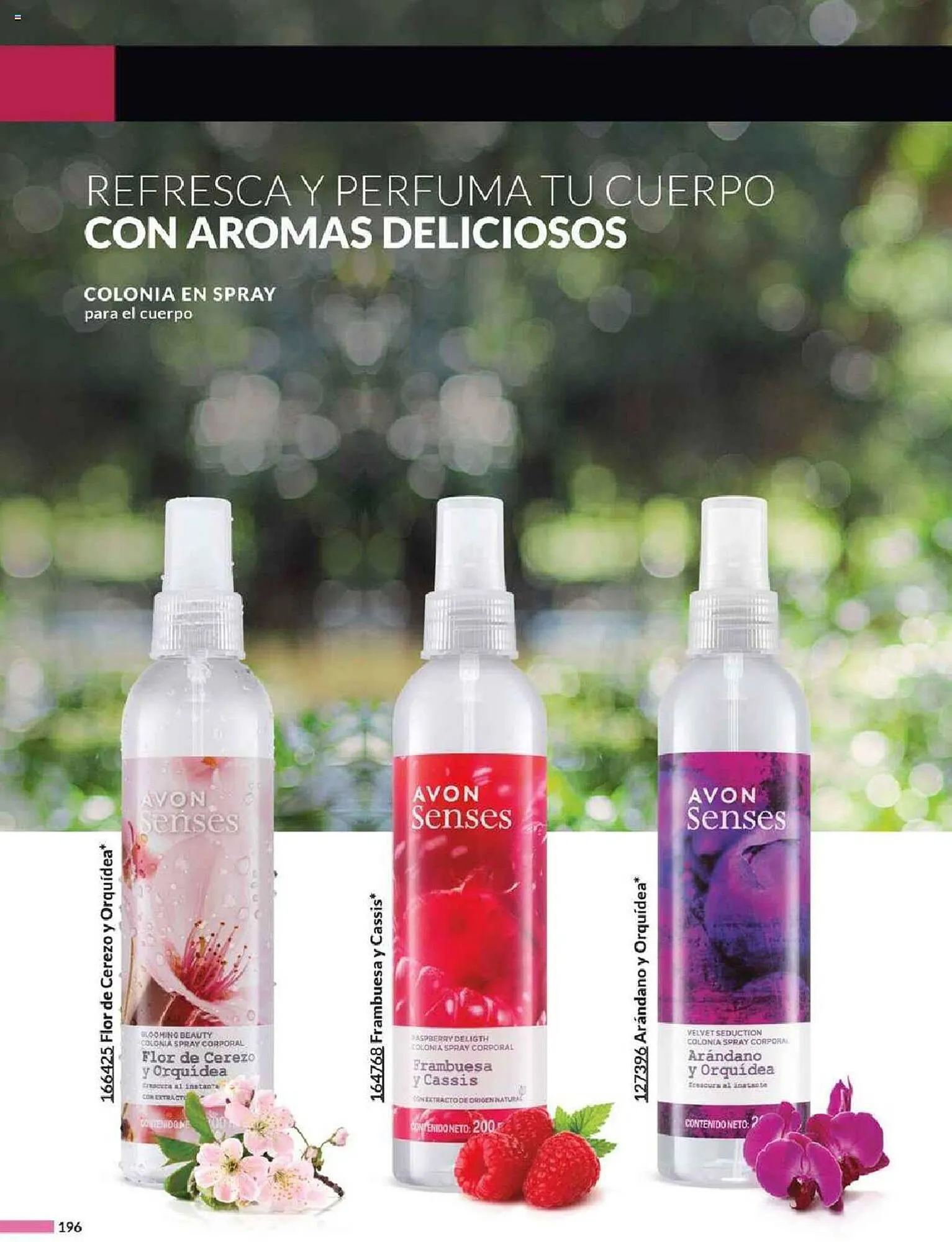 Catálogo de Catálogo Avon 24 de febrero al 4 de abril 2024 - Pagina 196