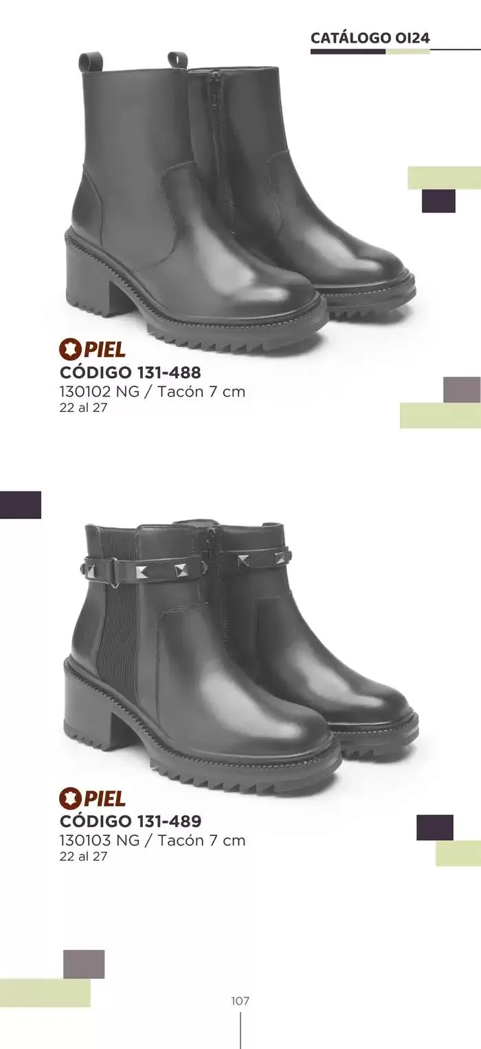 Catálogo de Pakar Flexi 23 de octubre al 31 de enero 2025 - Pagina 107