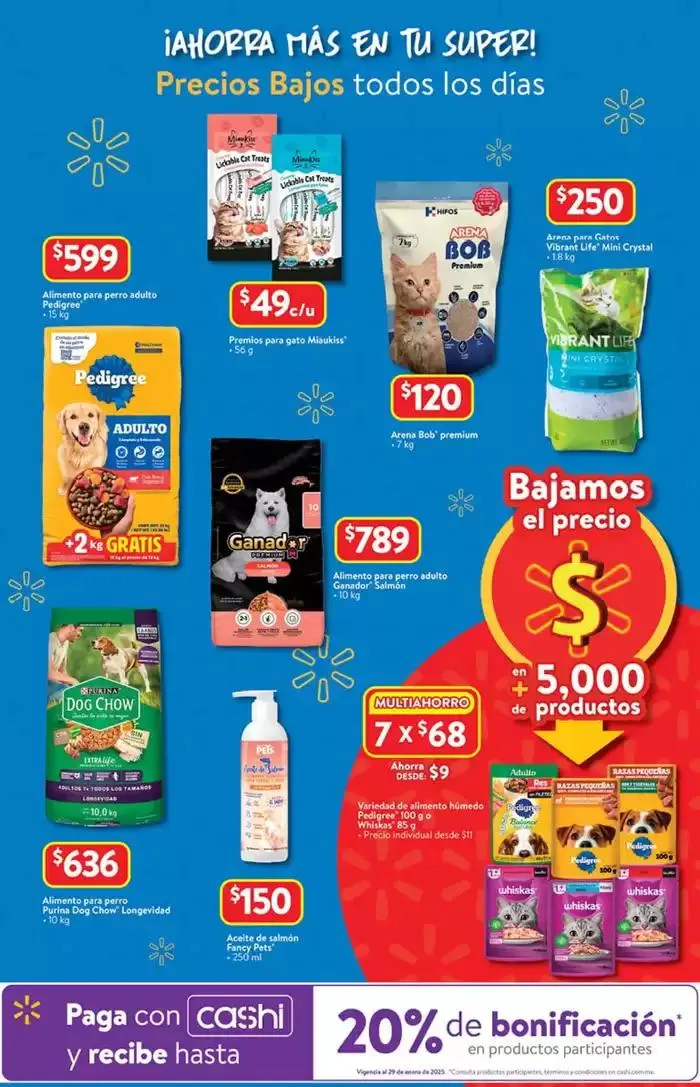 Catálogo de Enero Cuesta 9 de enero al 29 de enero 2025 - Pagina 14