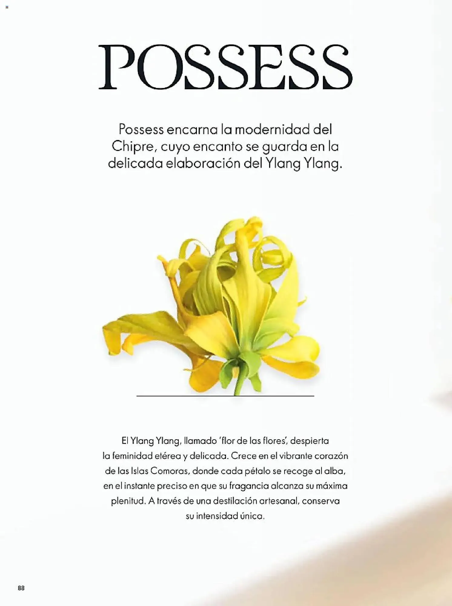 Catálogo de Catálogo Oriflame 14 de febrero al 7 de marzo 2026 - Pagina 88