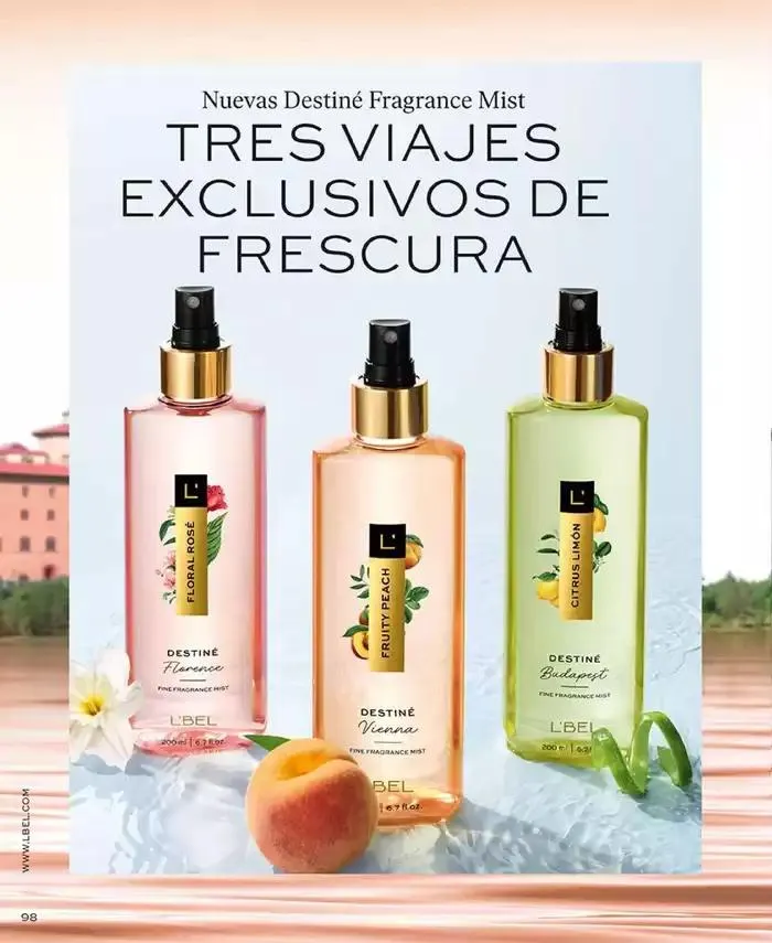 Catálogo de Catálogo L'Bel México C01 3 de diciembre al 12 de enero 2025 - Pagina 101