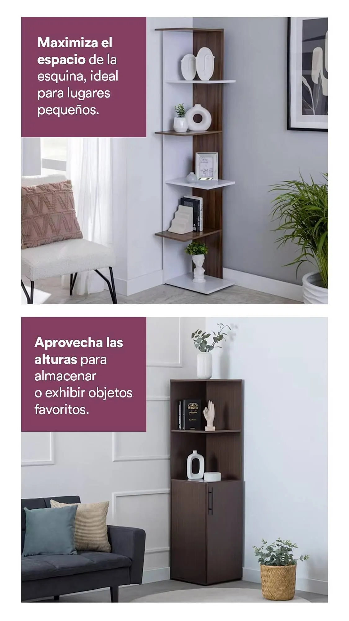 Catálogo de Catálogo Coppel 30 de enero al 28 de febrero 2025 - Pagina 2