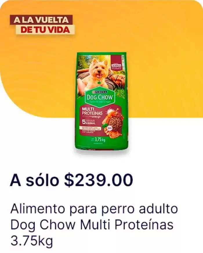 Catálogo de A la vuelta de tu vida 2 de diciembre al 1 de enero 2025 - Pagina 6