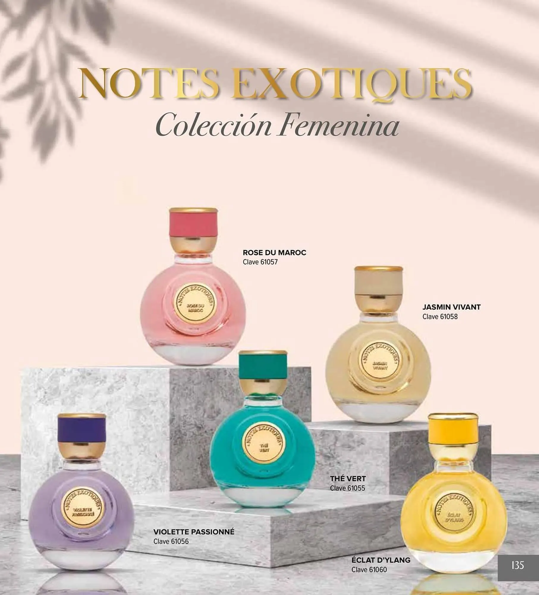 Catálogo de Catálogo Terramar Brands 5 de agosto al 31 de diciembre 2025 - Pagina 135