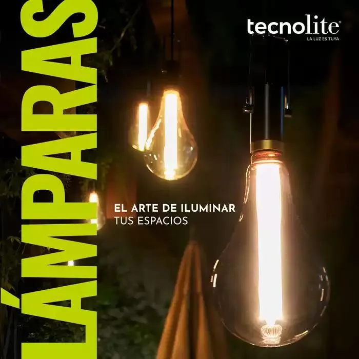 Catálogo de TecnoliteMEDIA 1 de enero al 31 de diciembre 2025 - Pagina 317