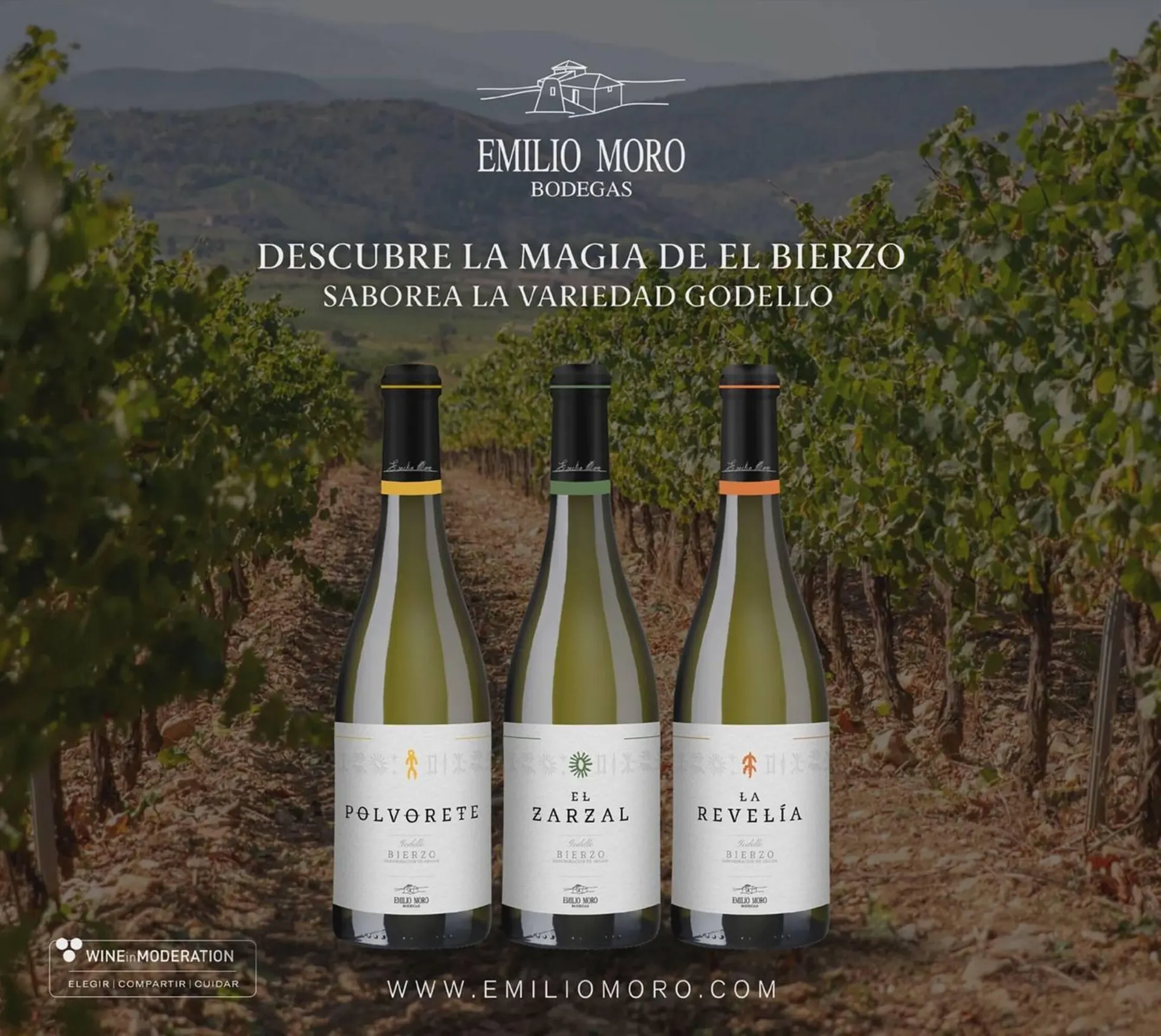 Catálogo de Catálogo Vinoteca 5 de noviembre al 31 de diciembre 2025 - Pagina 27