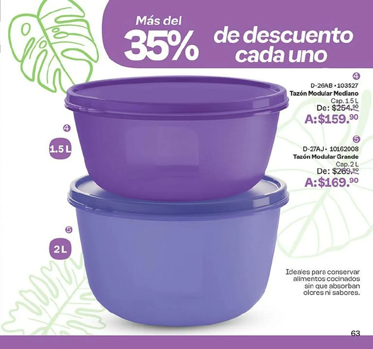 Catálogo de Tupperware 4 de septiembre al 16 de septiembre 2024 - Pagina 63