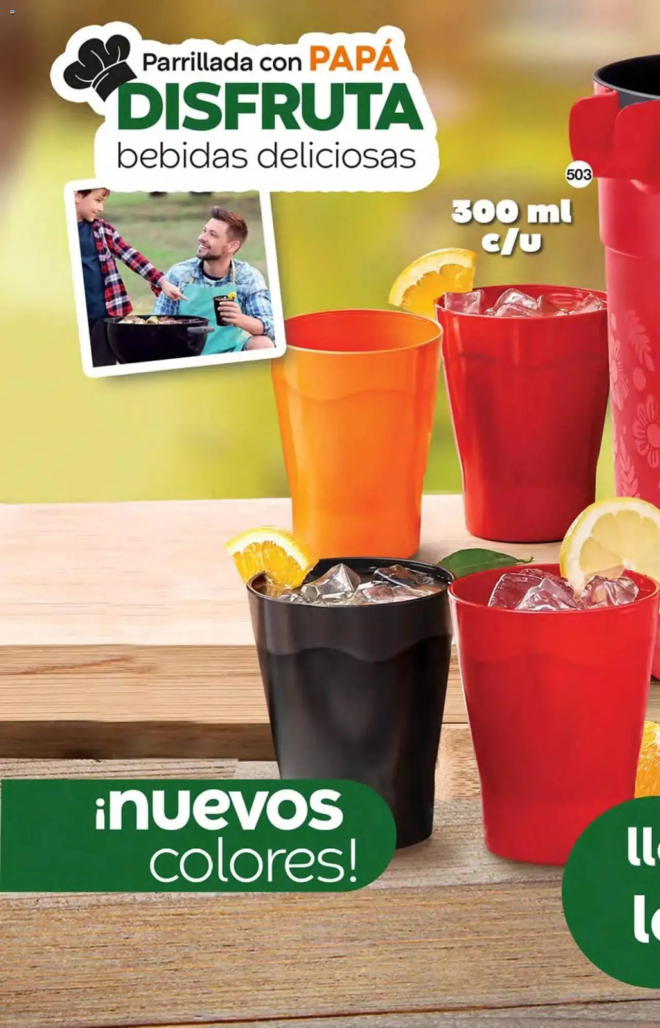 Catálogo de Catálogo Fuller 14 de mayo al 3 de junio 2025 - Pagina 381