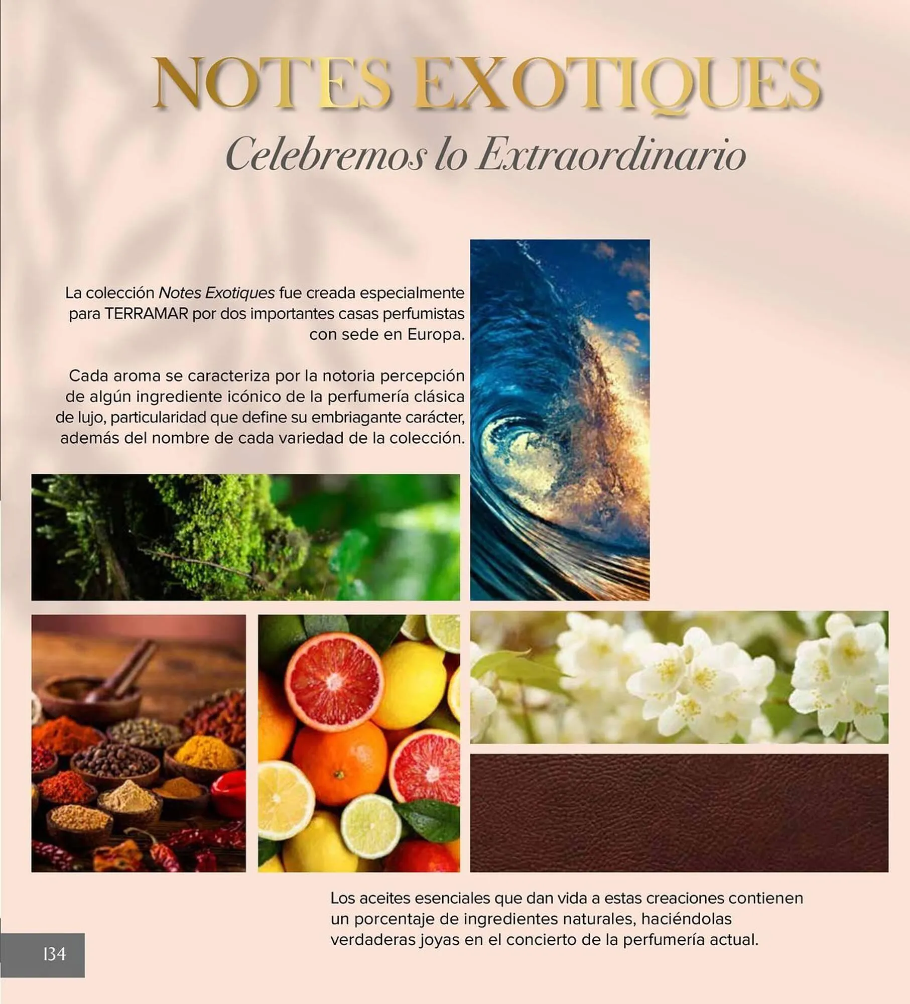 Catálogo de Catálogo Terramar Brands 5 de agosto al 31 de diciembre 2025 - Pagina 134