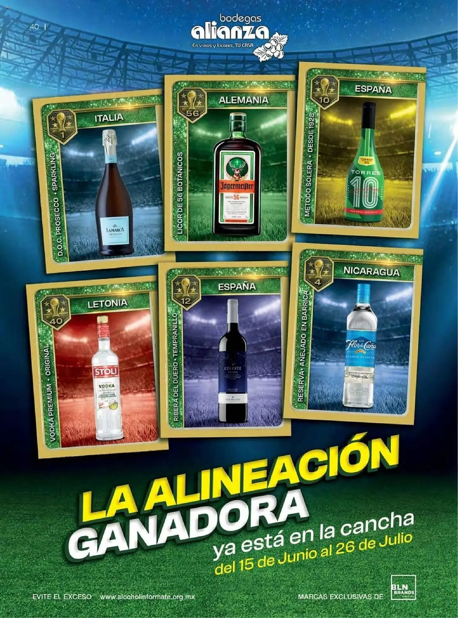 Catálogo de Folleto Bodegas Alianza 1 de abril al 1 de julio 2026 - Pagina 42