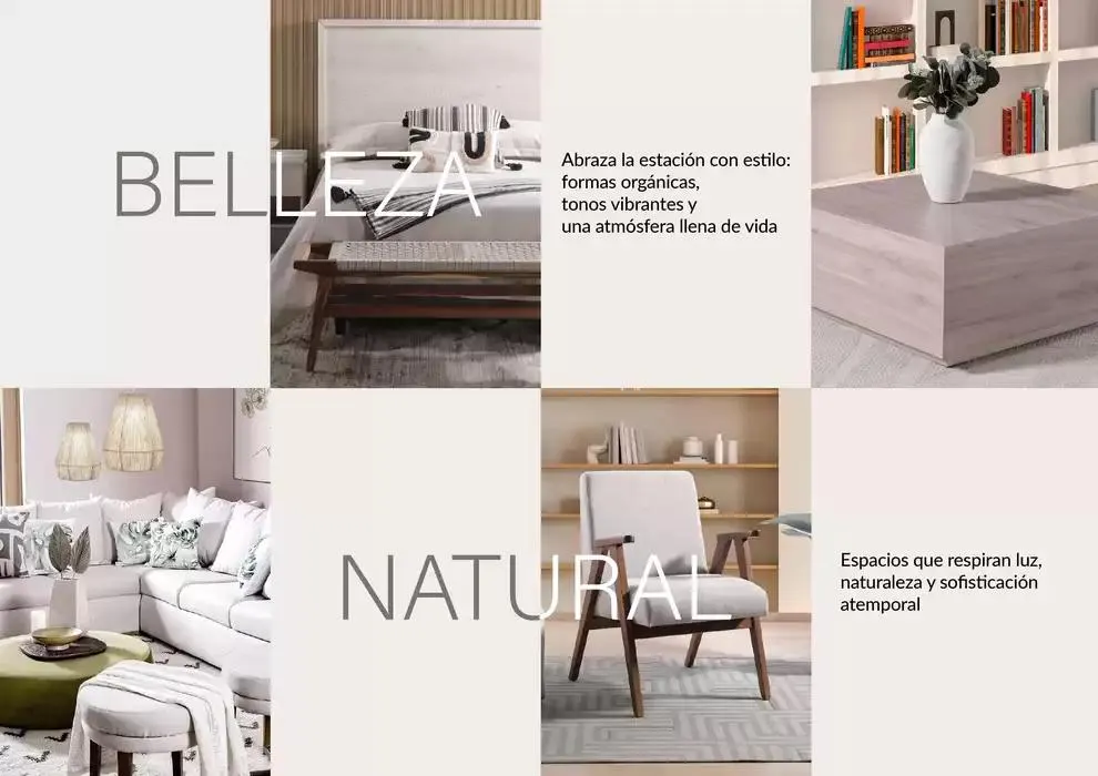 Catálogo de Muebles Dico Primavera Centro 2025 1 de marzo al 31 de marzo 2025 - Pagina 2