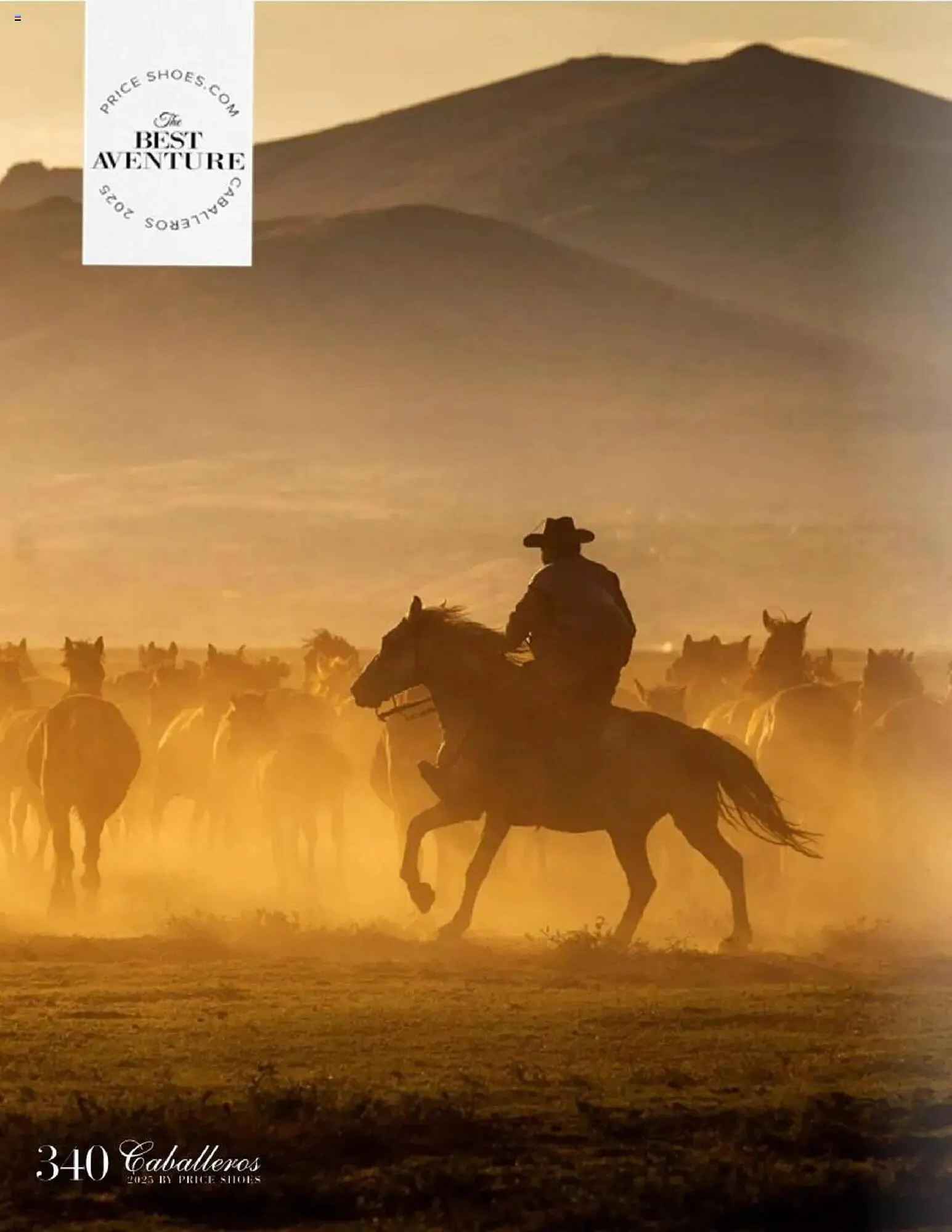 Catálogo de Catálogo Price Shoes 16 de mayo al 31 de diciembre 2025 - Pagina 340