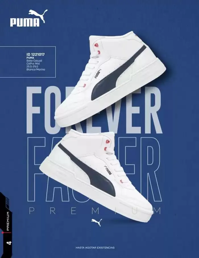 Catálogo de IMP PREMIUM 16 de diciembre al 16 de marzo 2025 - Pagina 4