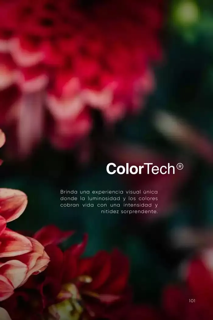 Catálogo de The Art of Luxe 14 de noviembre al 30 de junio 2025 - Pagina 103