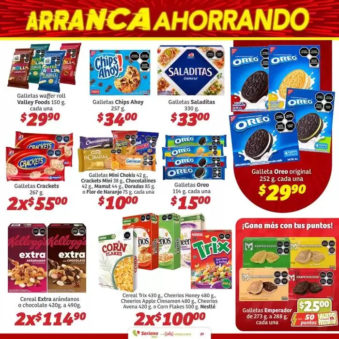 Catálogo de Vive tu pasión 31 de enero al 13 de febrero 2025 - Pagina 29