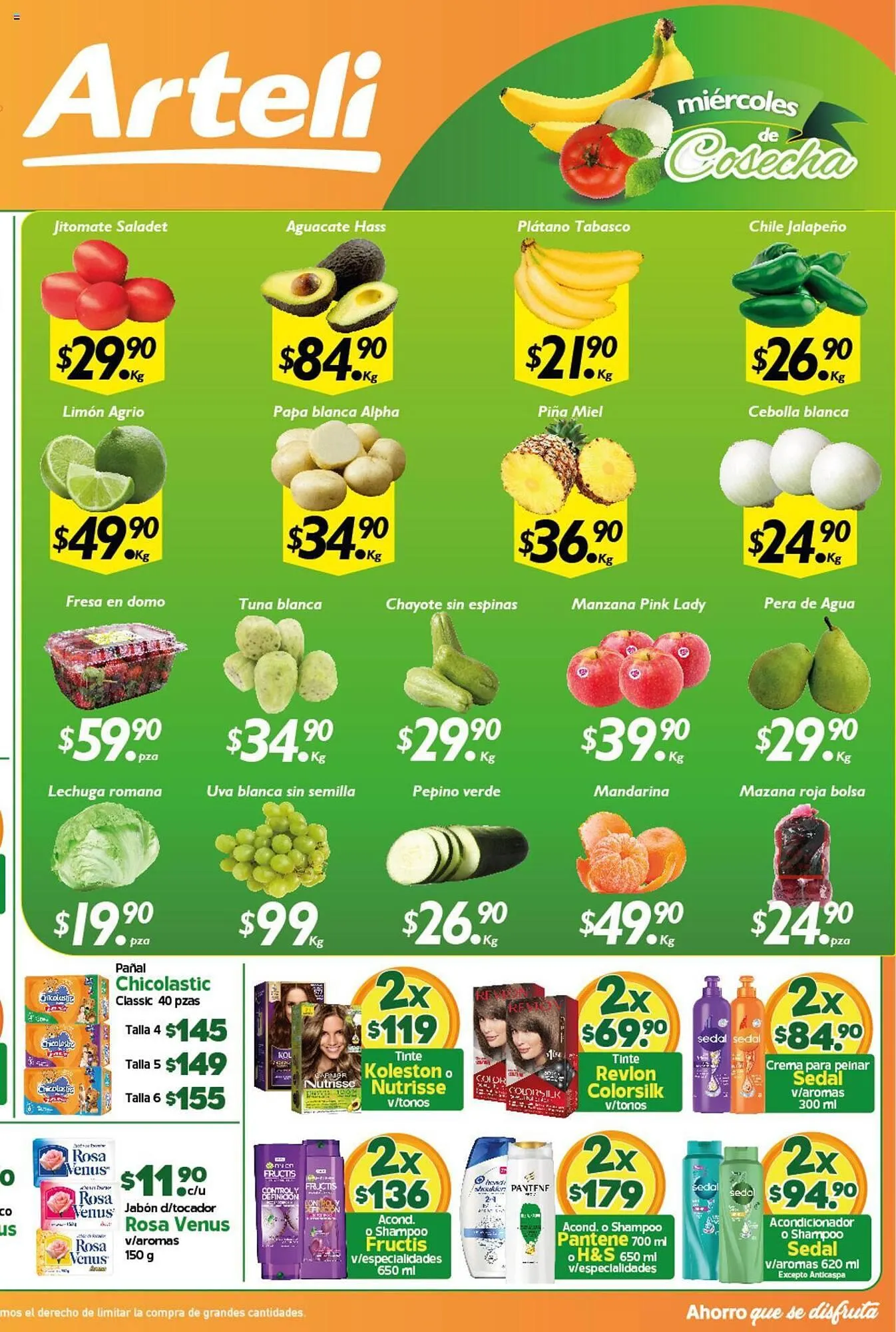 Catálogo de Catálogo Arteli 16 de octubre al 16 de octubre 2024 - Pagina 2