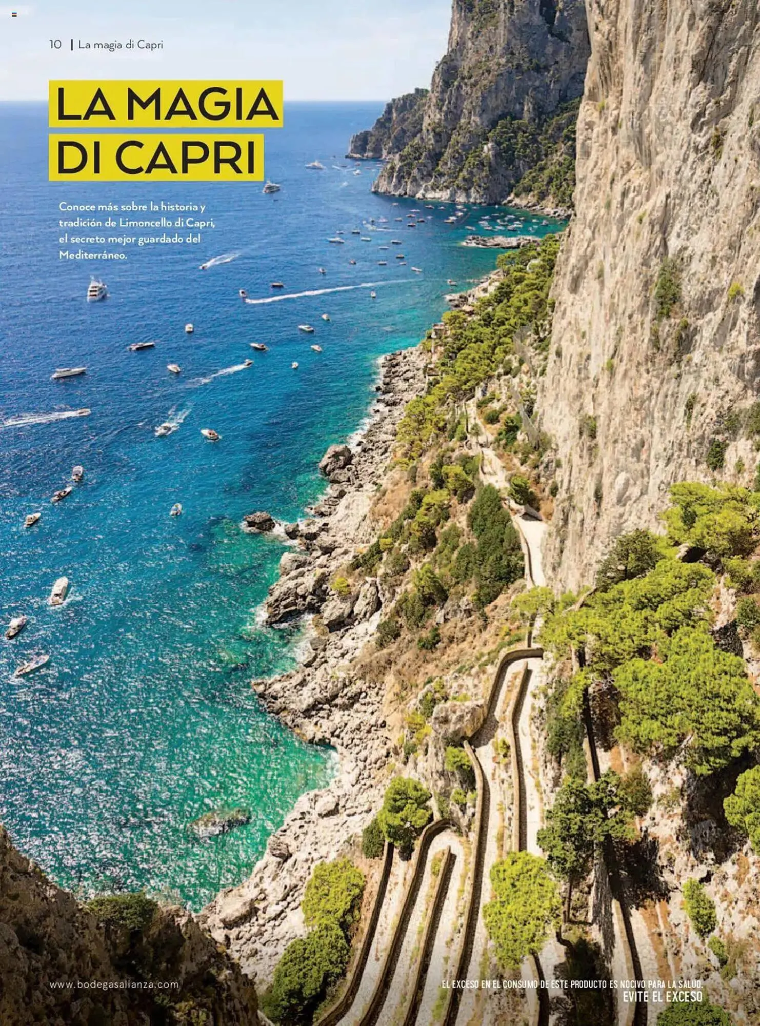 Catálogo de Catálogo Bodegas Alianza 1 de abril al 30 de junio 2025 - Pagina 12