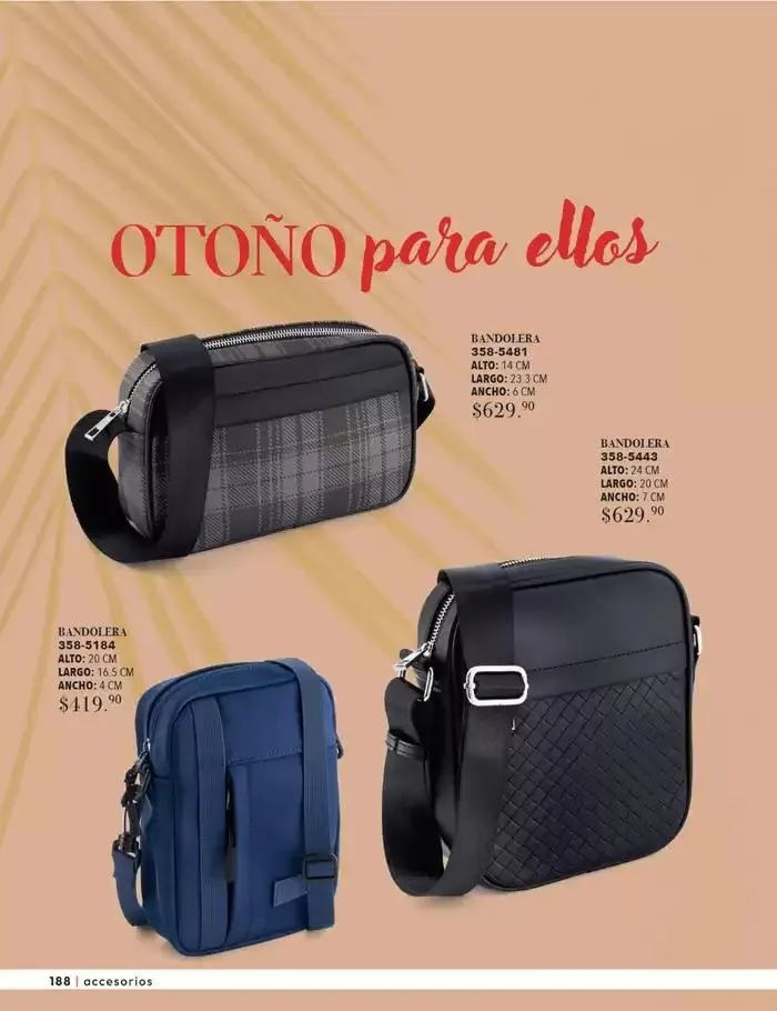 Catálogo de ANDREA - TROPICAL 16 de octubre al 31 de enero 2025 - Pagina 97