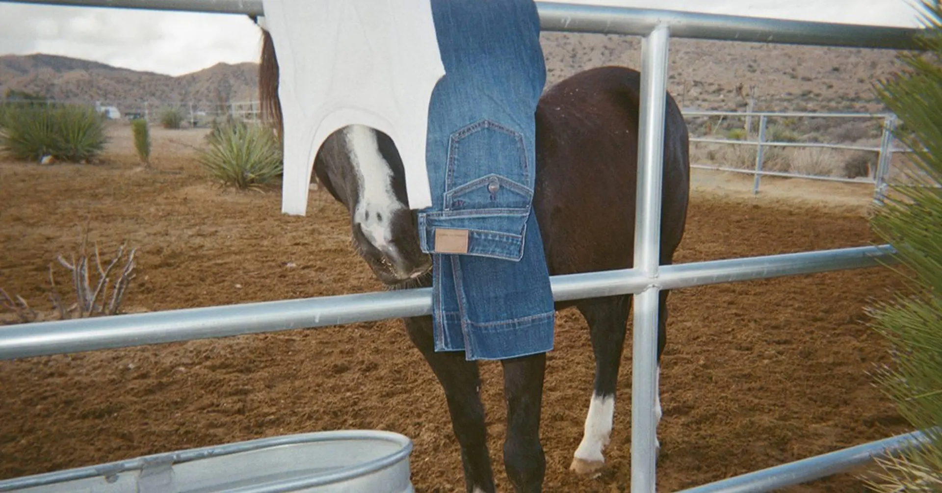 Catálogo de Catálogo American Eagle 3 de marzo al 16 de marzo 2026 - Pagina 1