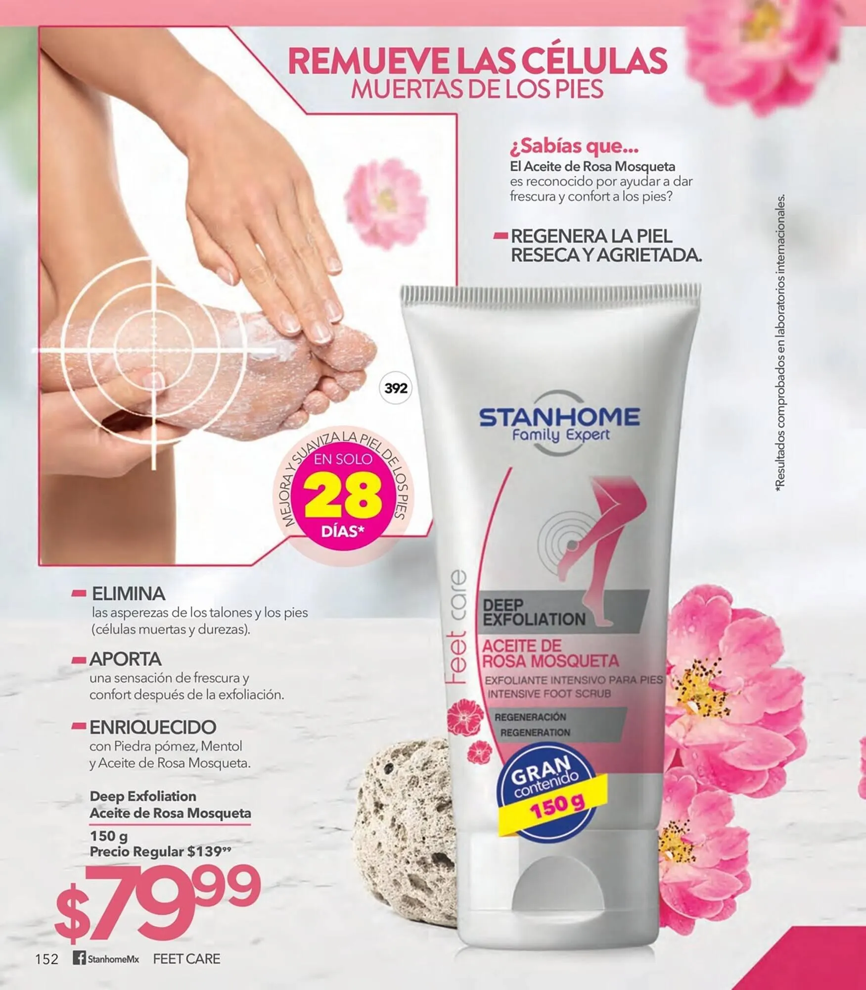 Catálogo de Catálogo Stanhome 27 de julio al 12 de agosto 2023 - Pagina 156