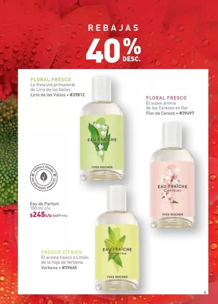 Catálogo de Rebajas hasta -60% - C01 6 de enero al 20 de enero 2025 - Pagina 11