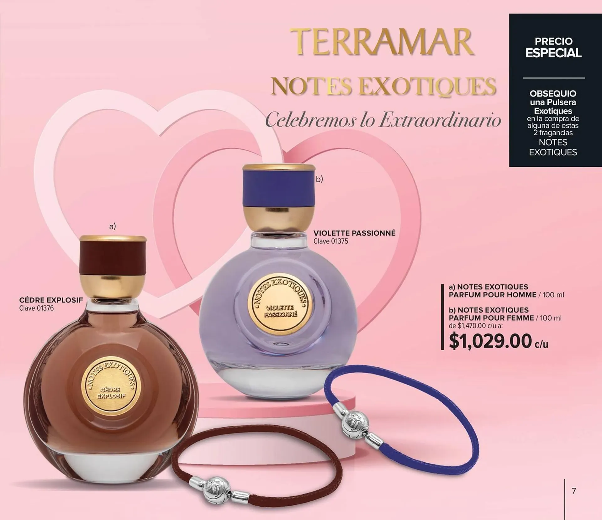 Catálogo de Catálogo Terramar Brands 4 de enero al 31 de enero 2024 - Pagina 7