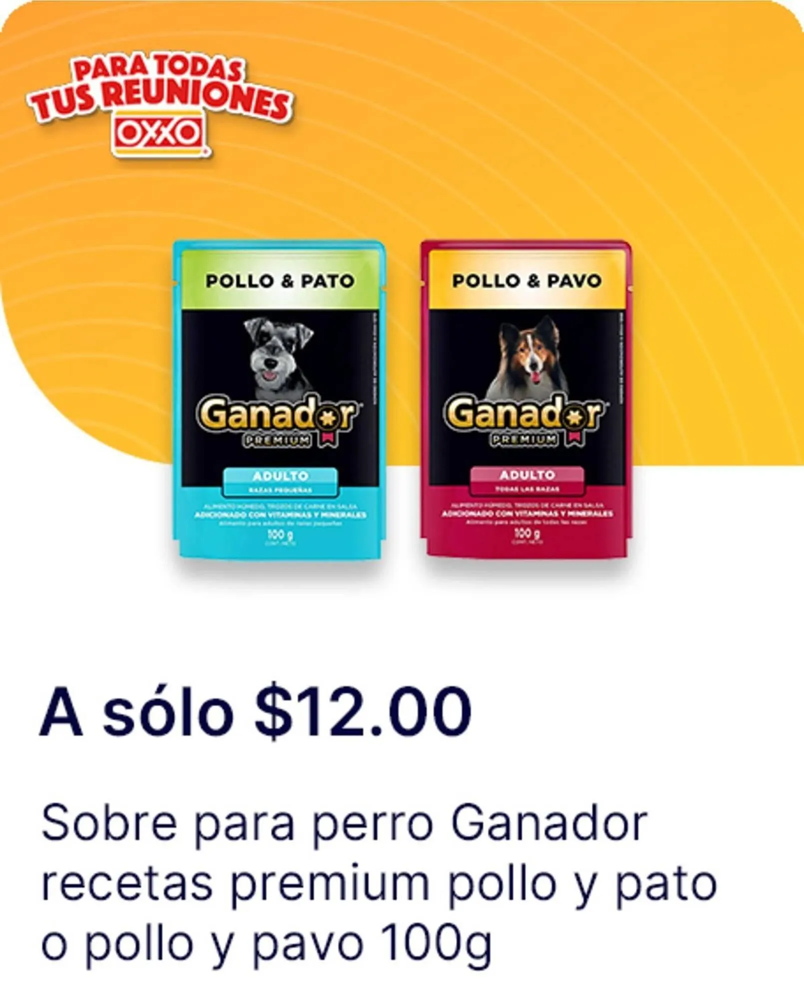 Catálogo de Catálogo OXXO 21 de agosto al 17 de septiembre 2025 - Pagina 27